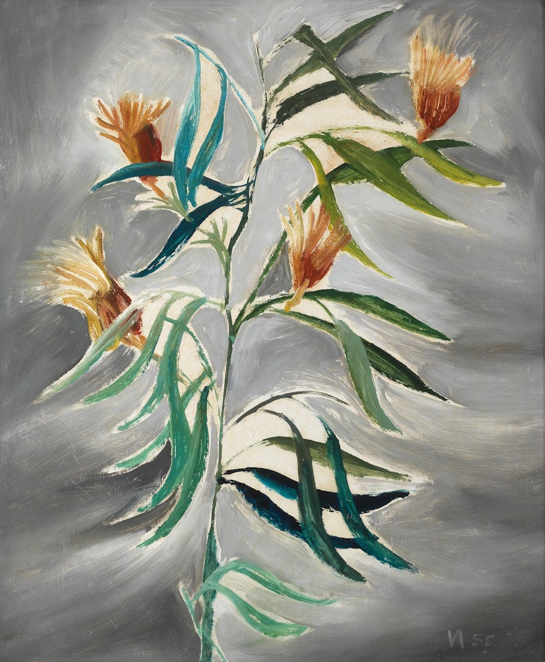 Plant Study by Sidney Nolan