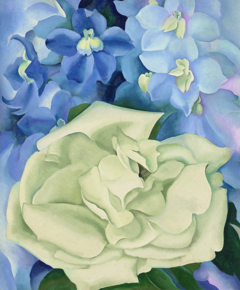 White Rose with Larkspur No. I by Georgia O'Keeffe