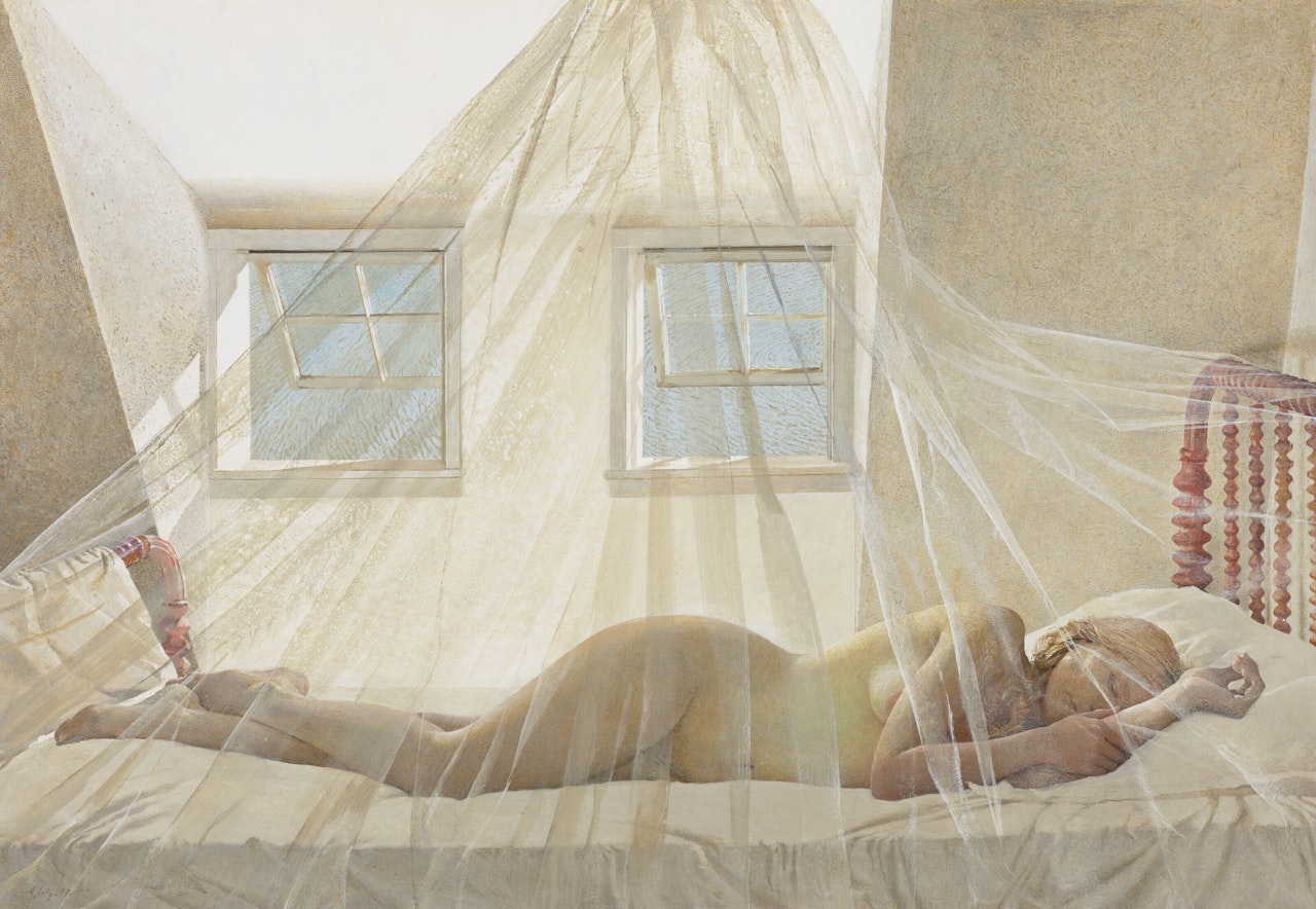 Day Dream by Andrew Wyeth