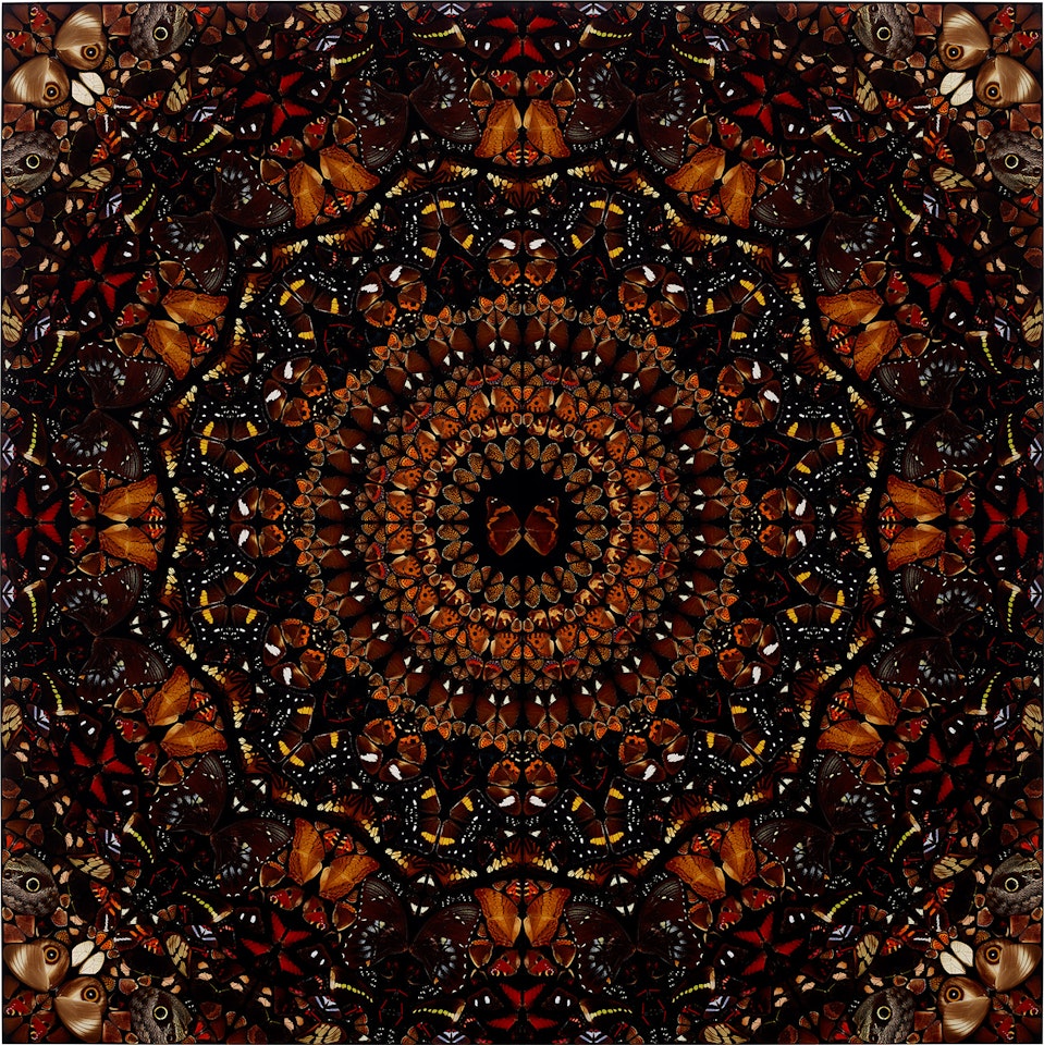 Earth, from The Elements (H6-6) by Damien Hirst