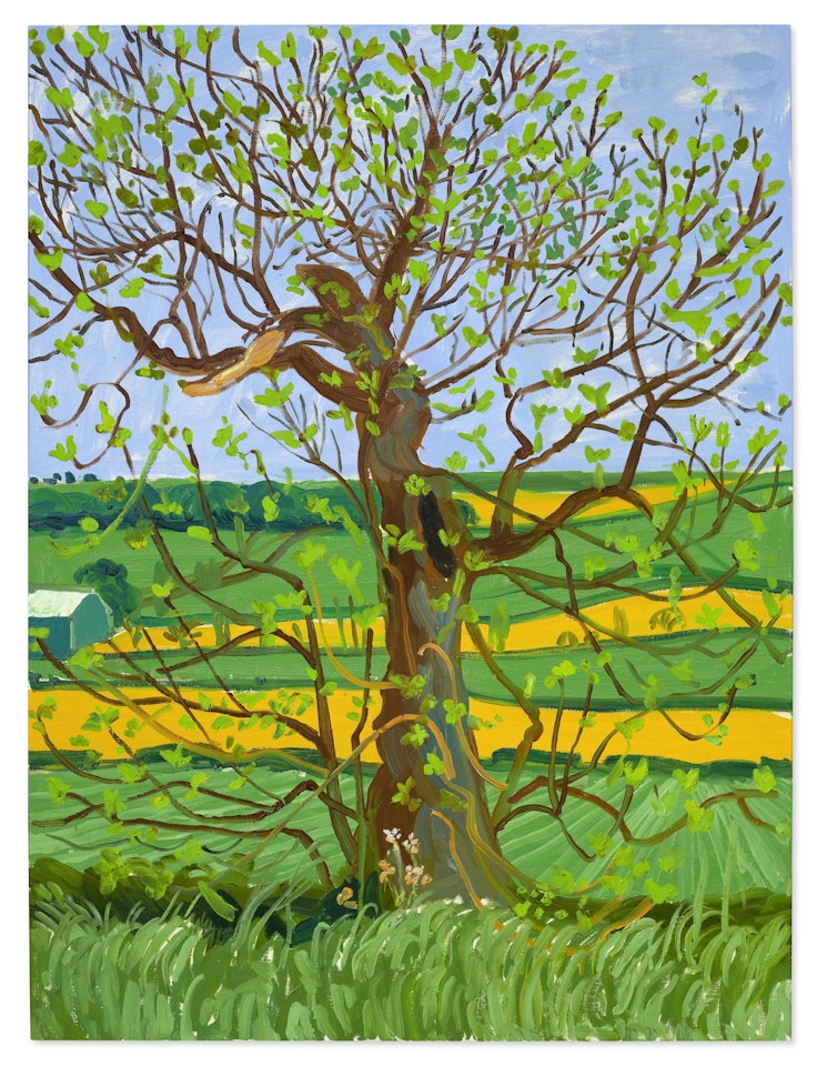 Woldgate Tree, May by David Hockney