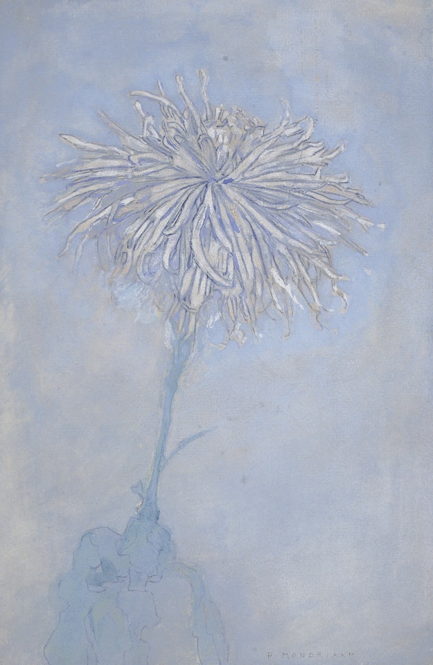 Chrysant by Piet Mondrian