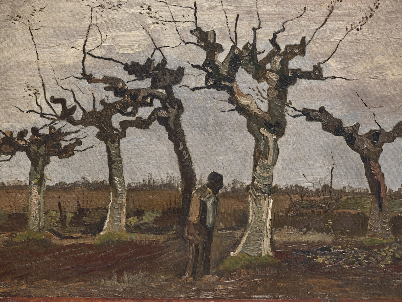 Knotberken by Vincent van Gogh