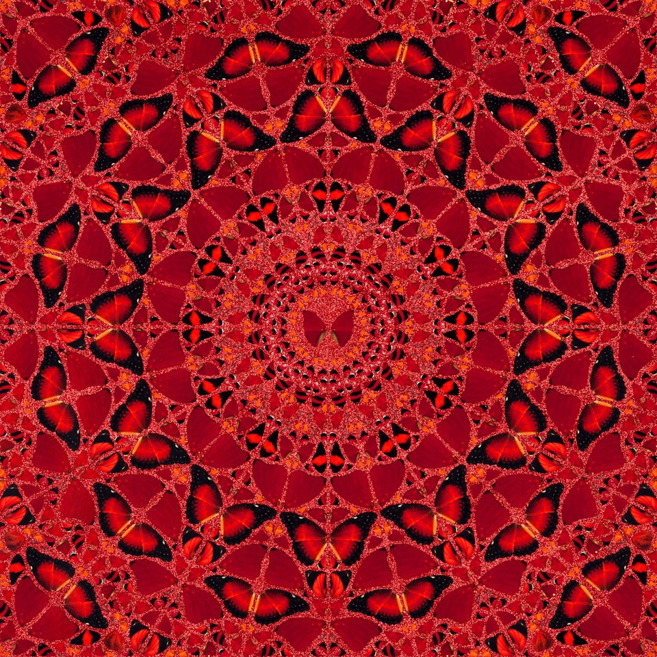 Suiko by Damien Hirst