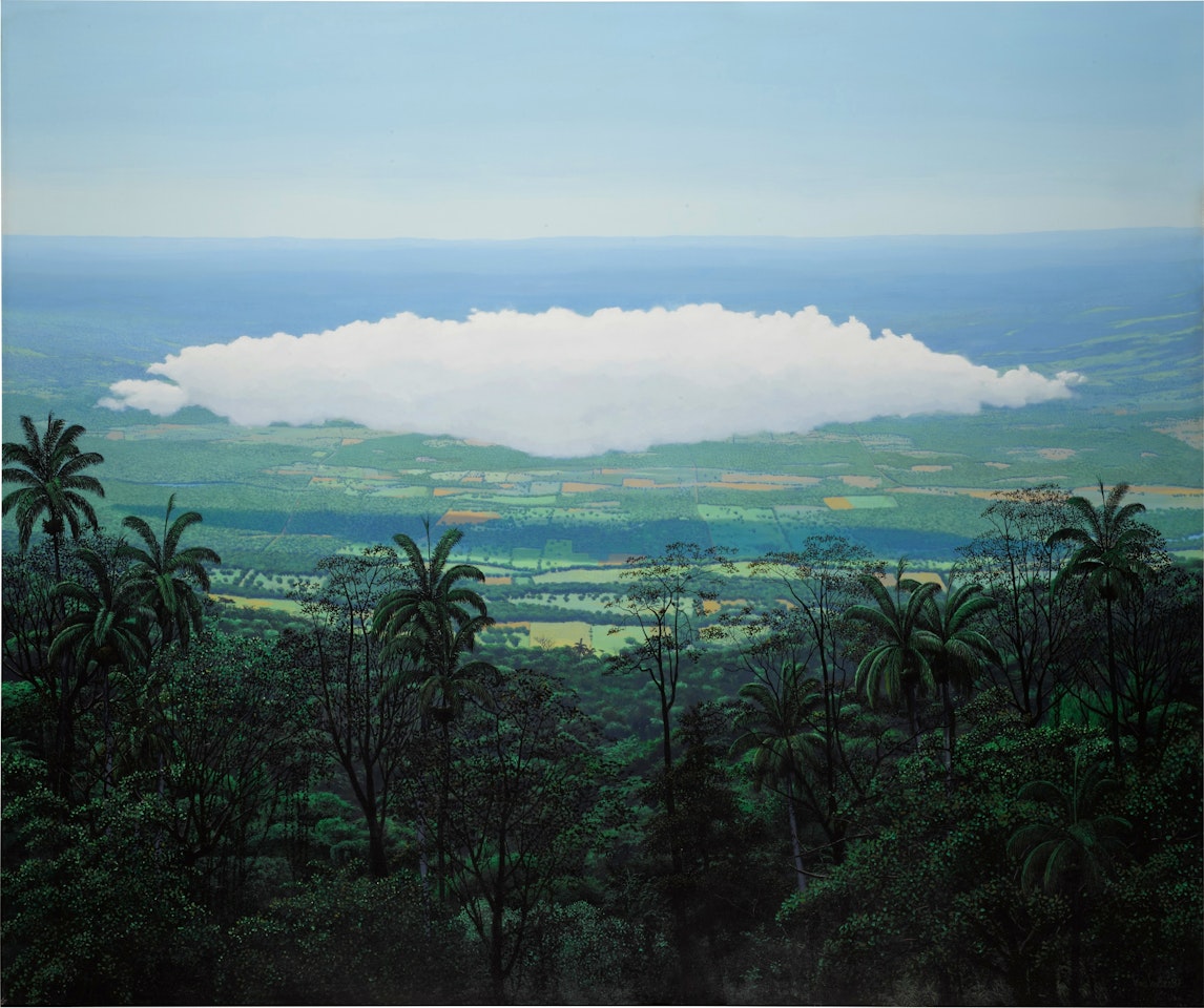 Nube baja desde la montaña by Tomas Sanchez