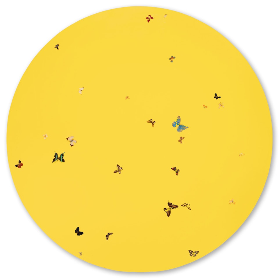 Beauty is in the Eye of the Beholder by Damien Hirst