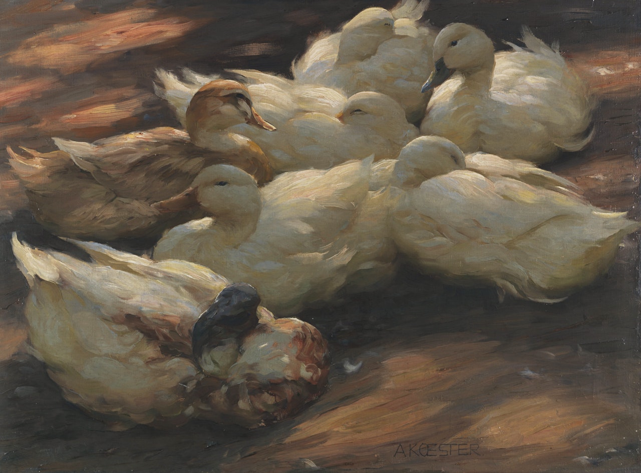 Enten am Boden lagernd by Alexander Koester
