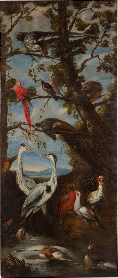 A still-life with birds by Flemish School