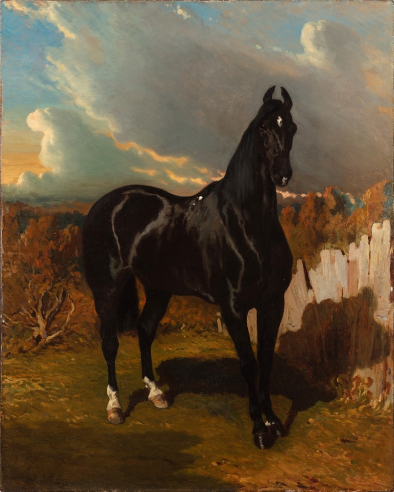 Black Knight by Alfred de Dreux