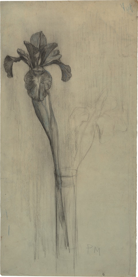 Iris Bloom in Bud Vase by Piet Mondrian
