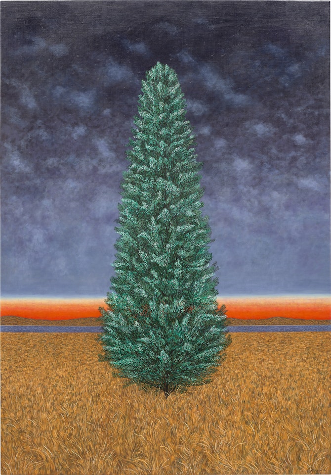 Bush at Sunset by Scott Kahn