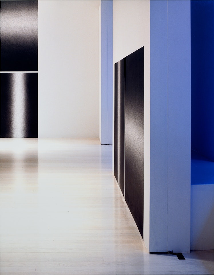 Black and White and Blue by Louise Lawler