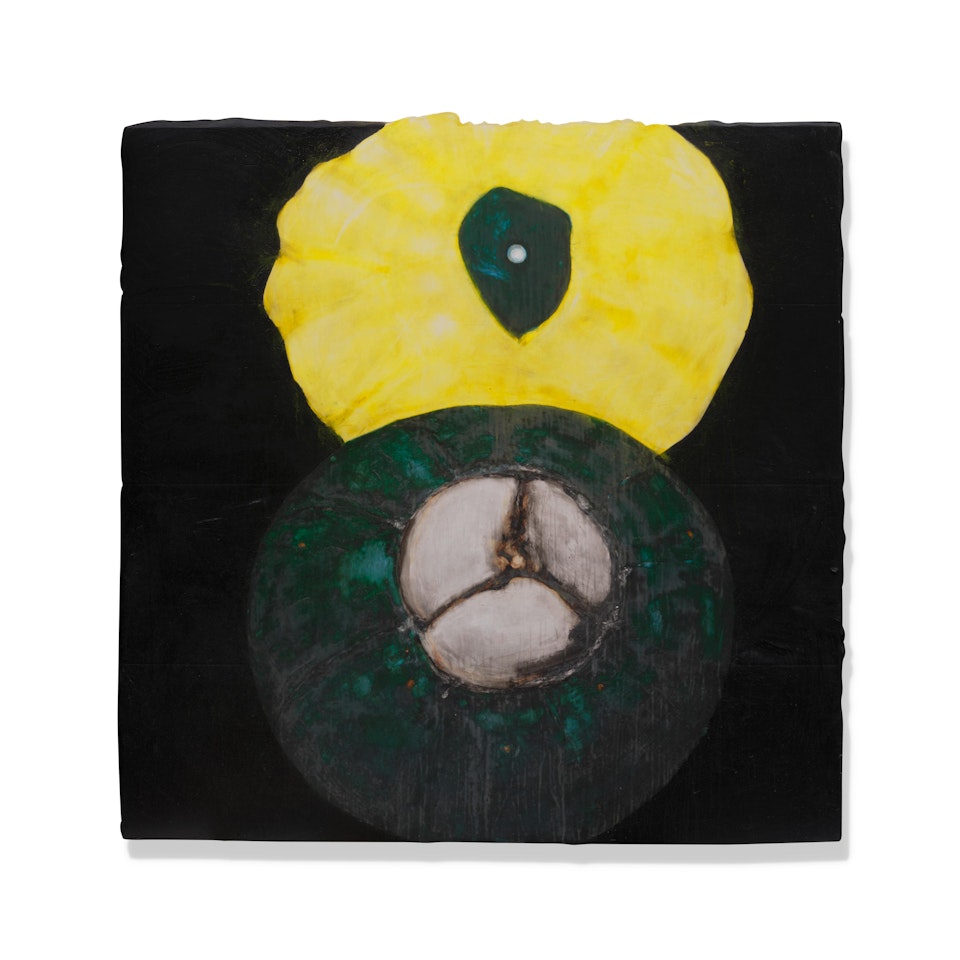 Green and Yellow Squash by Donald Sultan