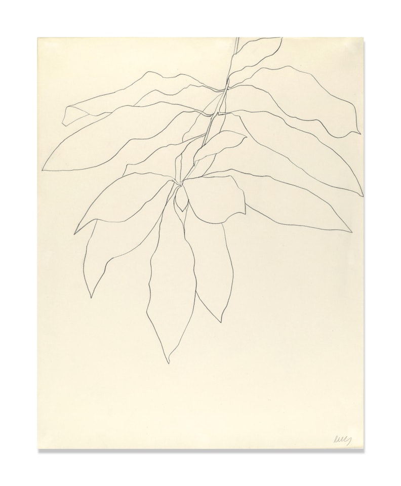 Avocado by Ellsworth Kelly