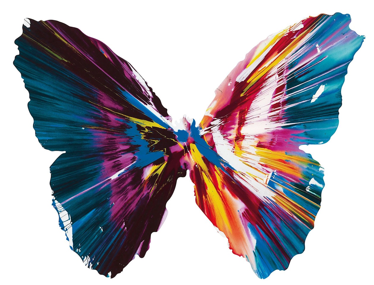 Spin Painting- Butterfly by Damien Hirst
