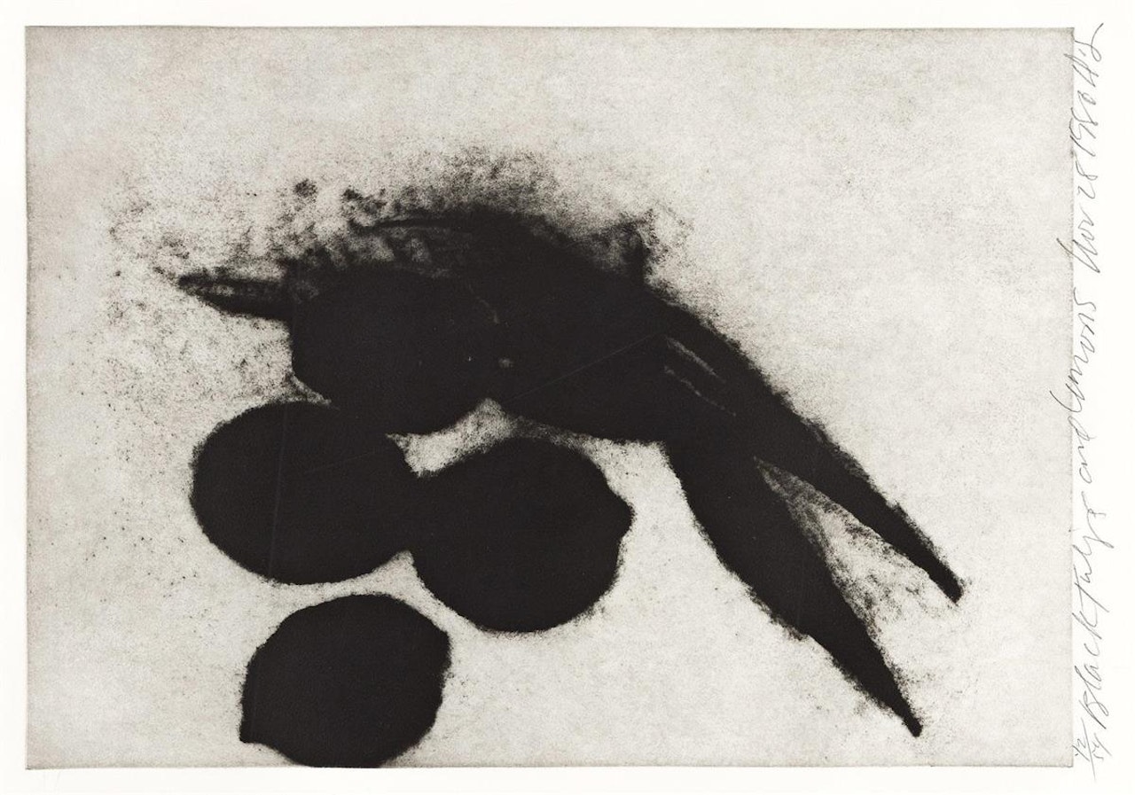 Black Tulips and Lemons by Donald Sultan