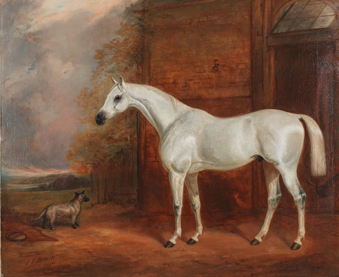 "Taffy" by John Frederick Herring
