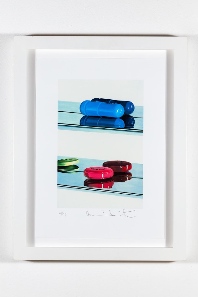 TWO PILLS by Damien Hirst