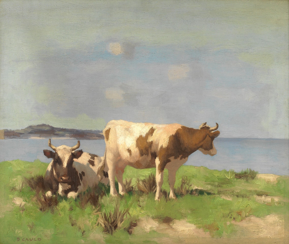 Ayrshire cattle resting by the sea by David Gauld