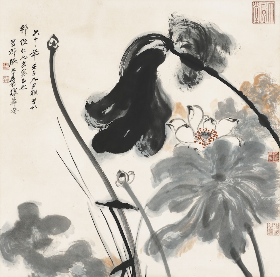 Lotus by Zhang Daqian