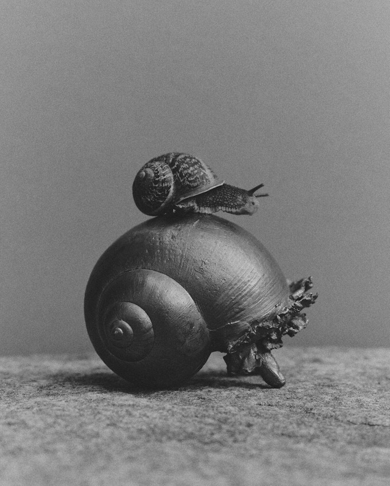 ESCARGOT DEUX DOIGTS by Claude Lalanne