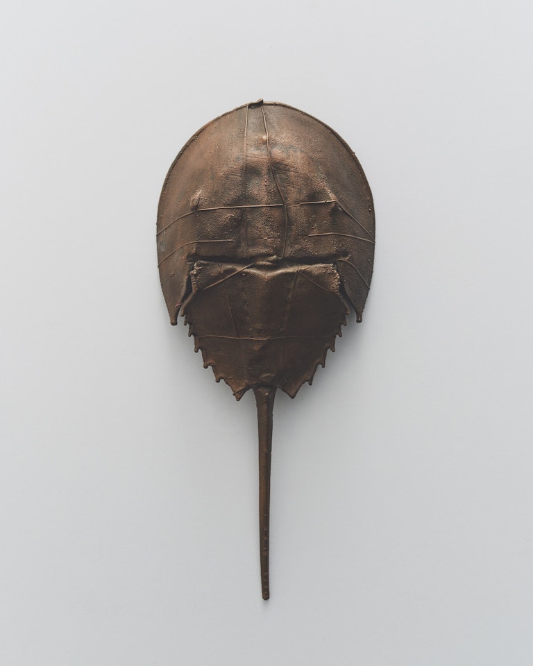 CARAPACE by Claude Lalanne
