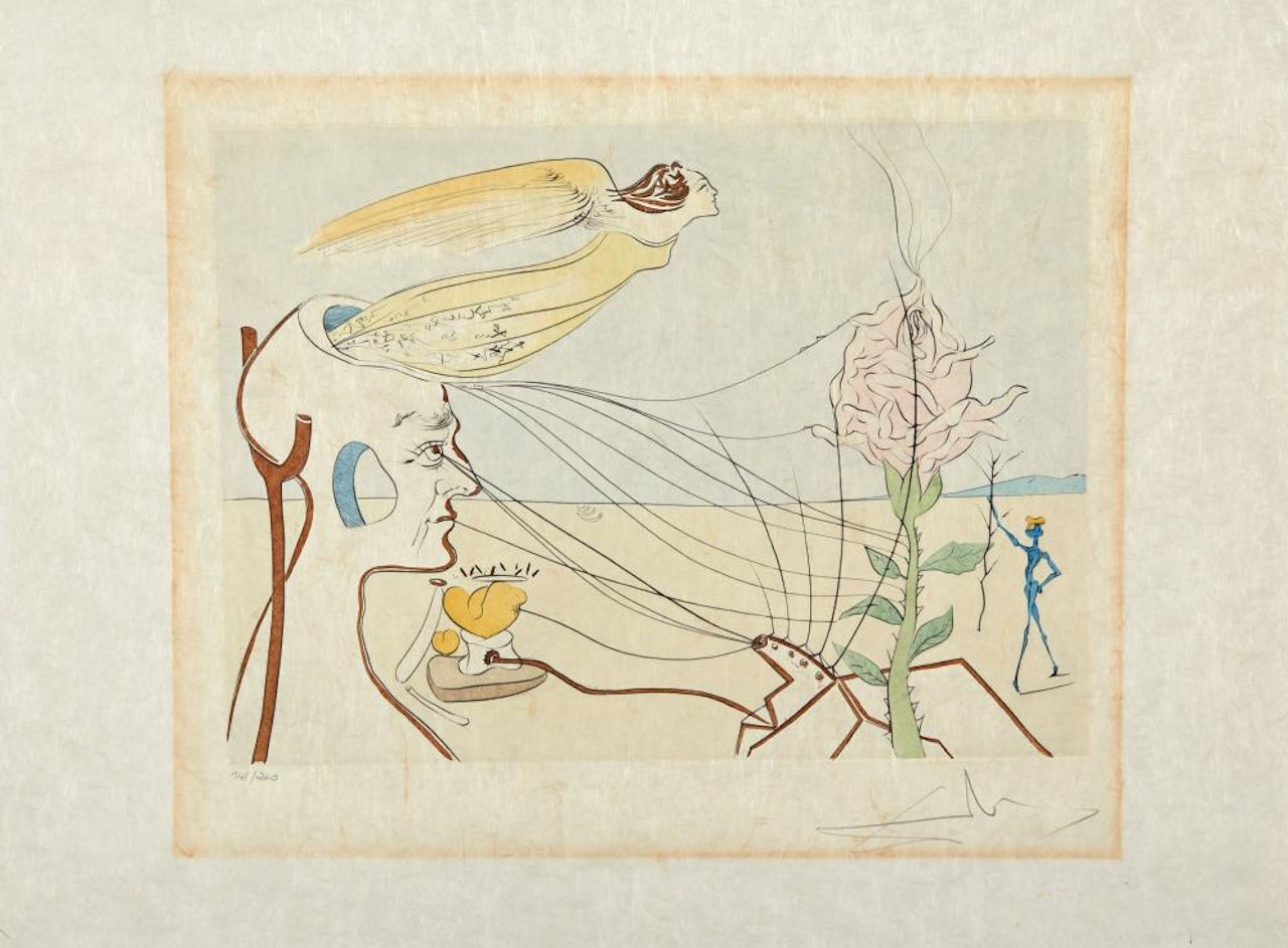 La Rose by Salvador Dali