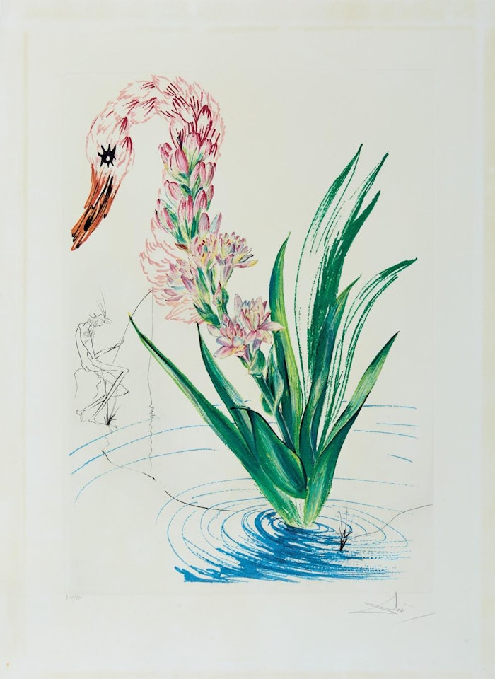 Polyanthes tyberosa et cygnus vegetalis by Salvador Dali