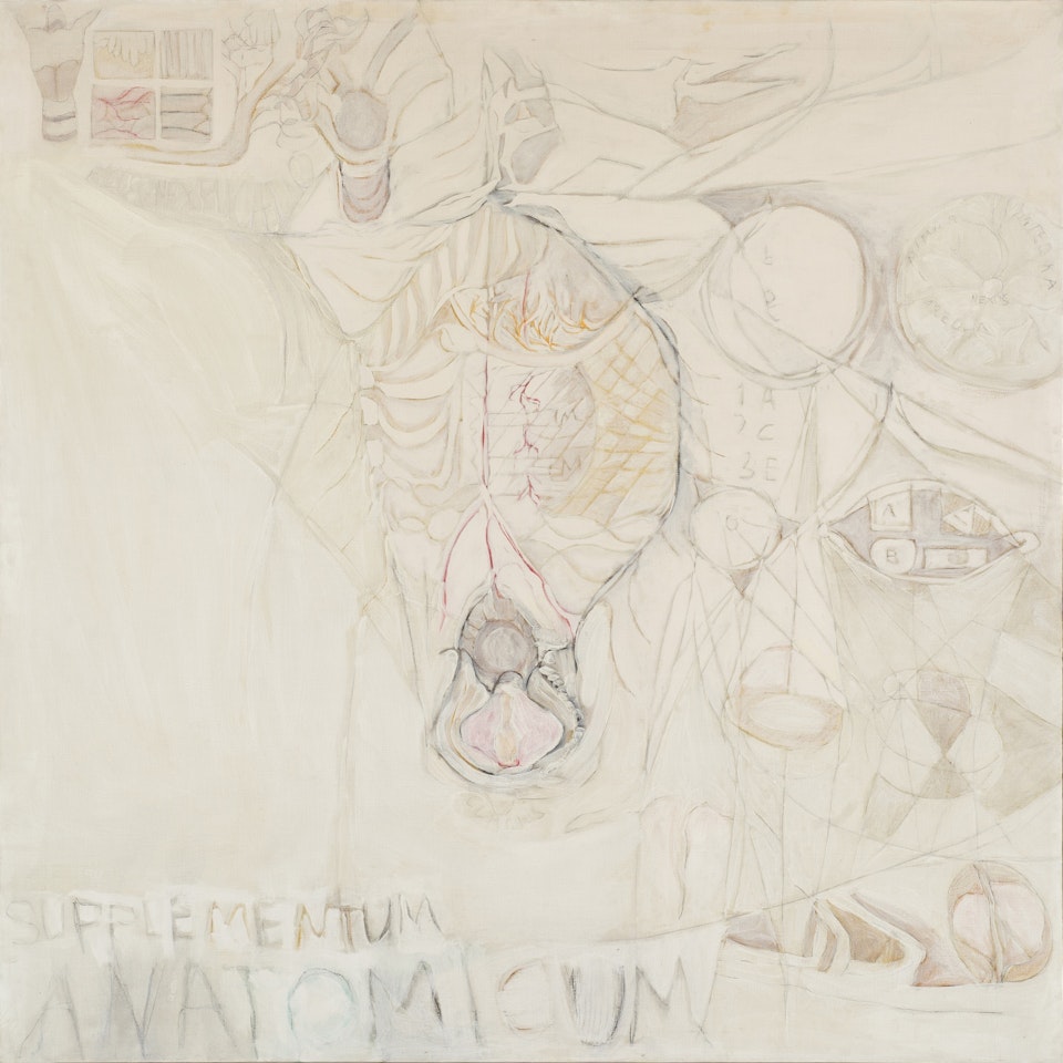 Supplementum anatomicum by Gastone Novelli