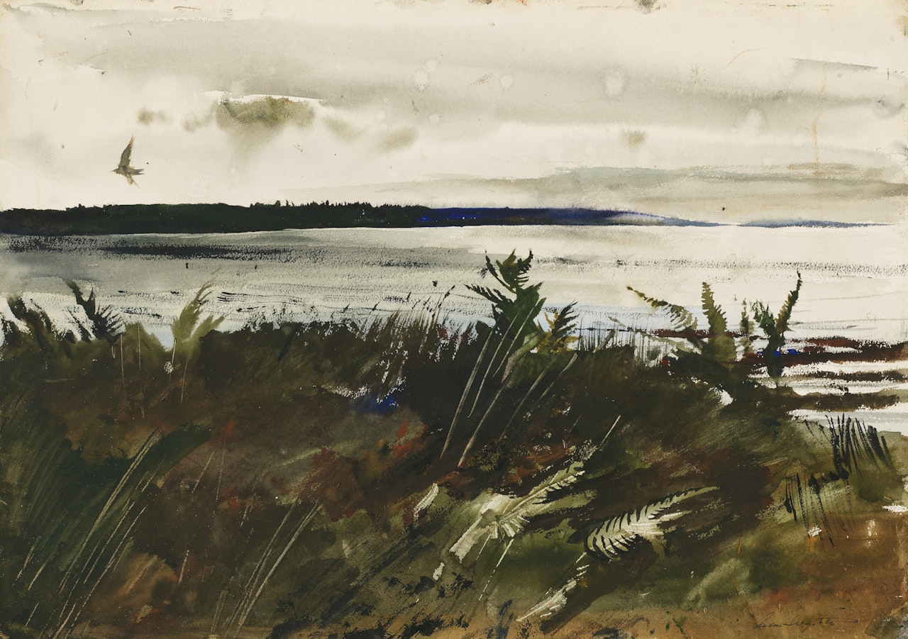 The Lone Gull by Andrew Wyeth