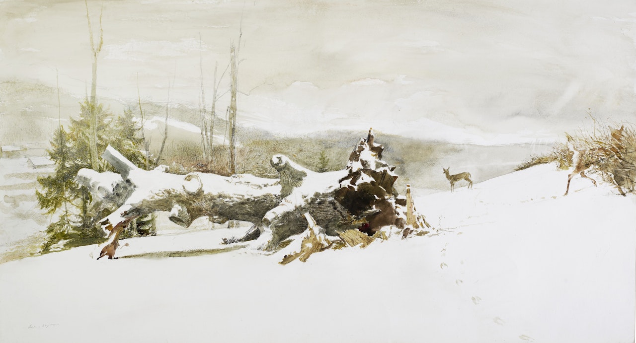 Tracks by Andrew Wyeth