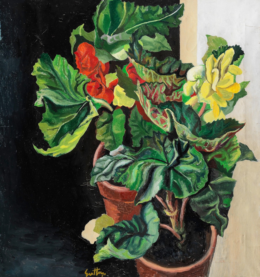 Begonie (Vaso di fiori) by Renato Guttuso