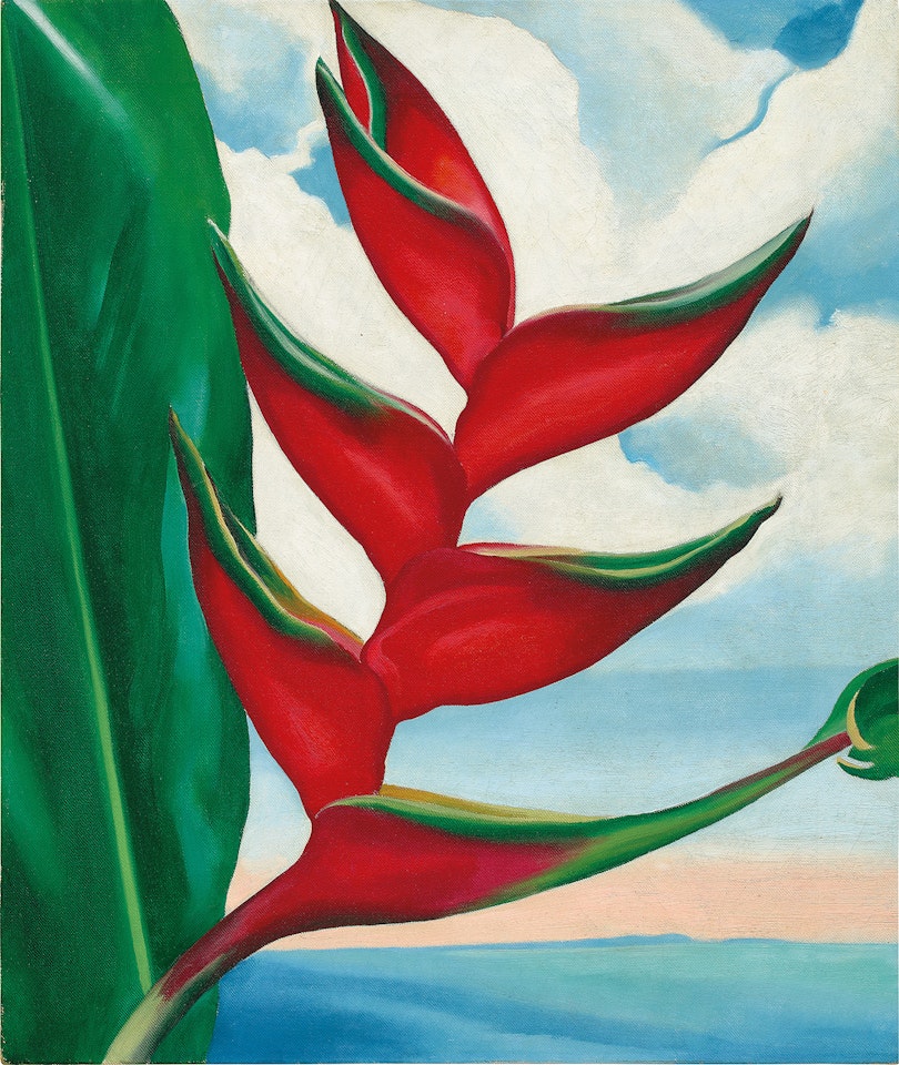 Crab’s Claw Ginger Hawaii by Georgia O'Keeffe