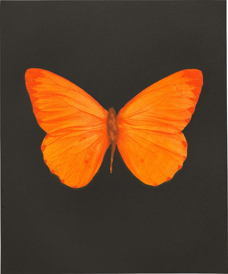 Hope by Damien Hirst