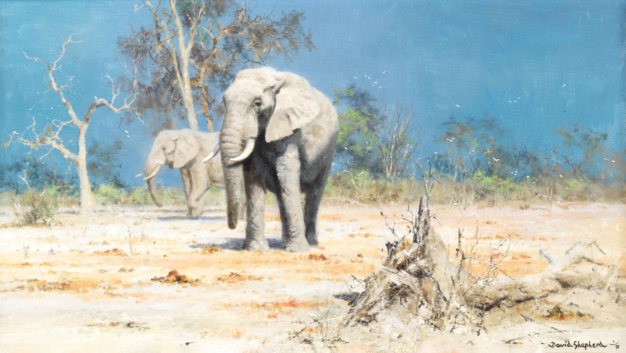 Elephants in the Scrub by David Shepherd