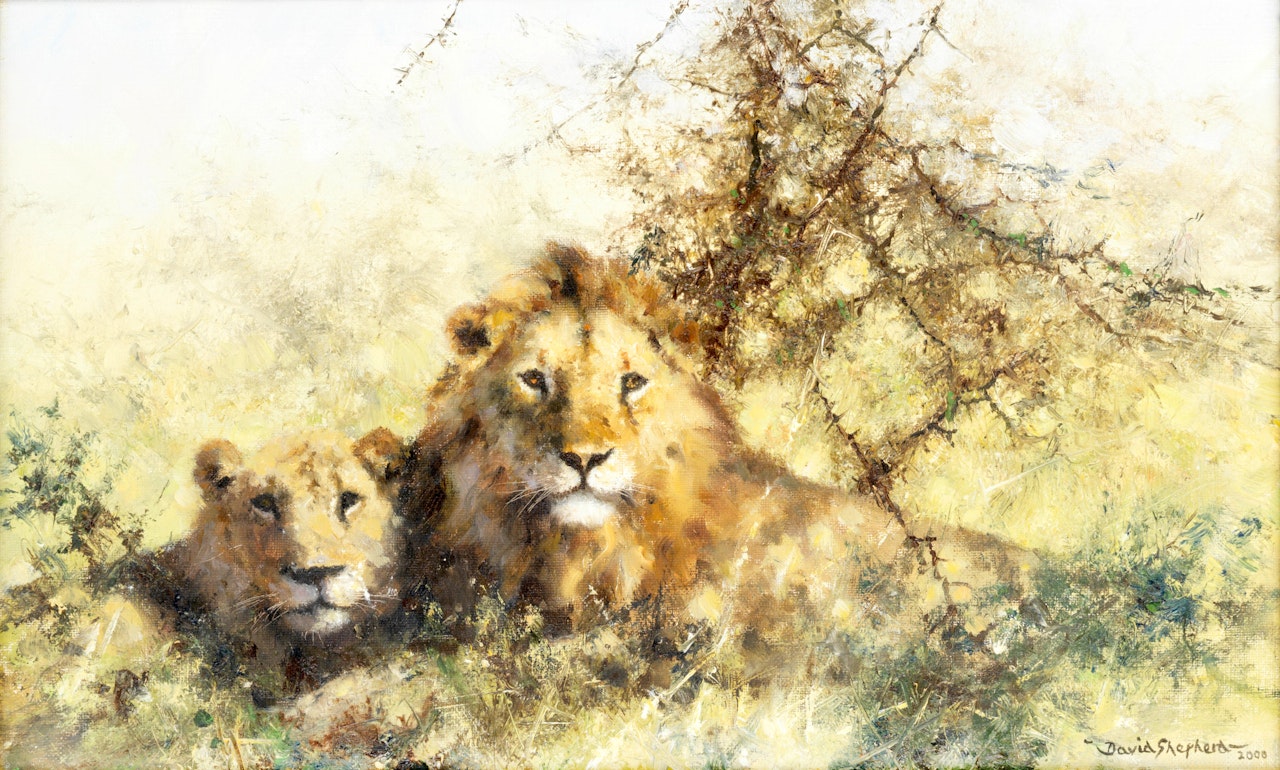 Lions in the Serengeti by David Shepherd
