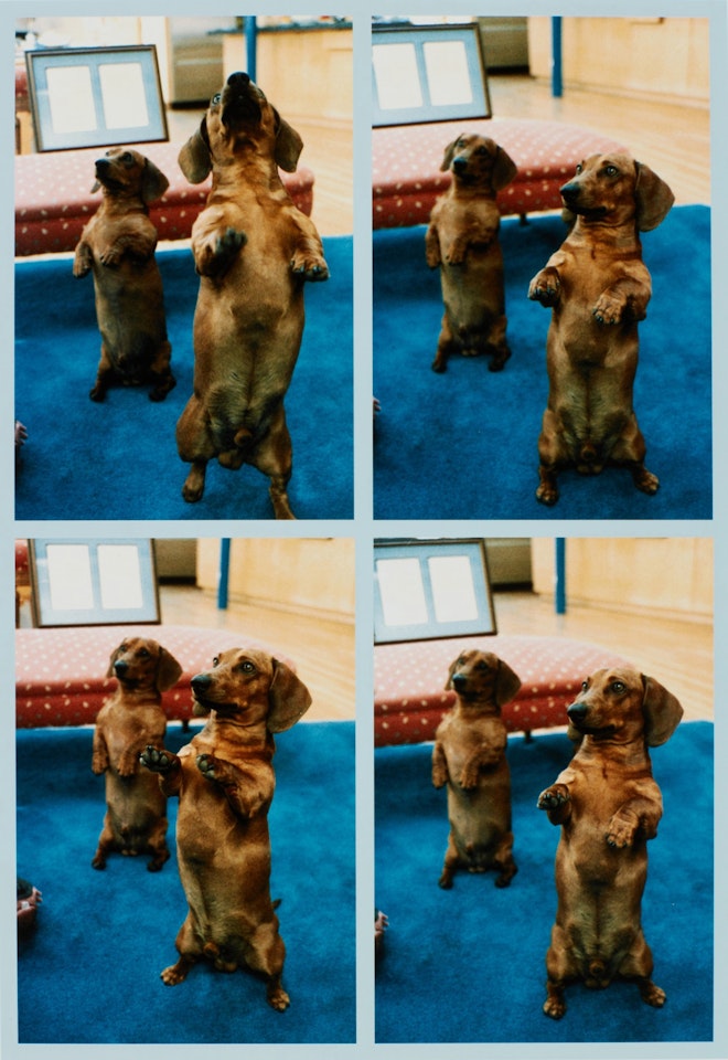 Stanley + Heinz, L.A. by David Hockney