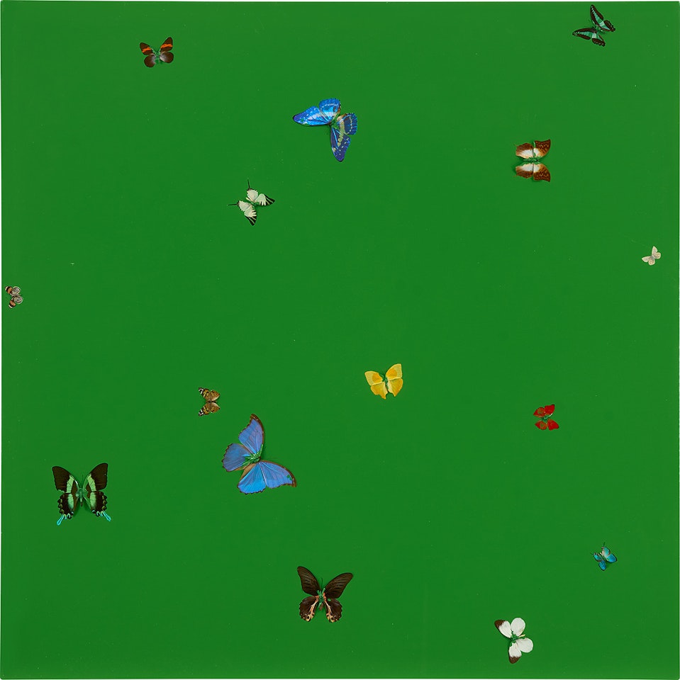 After the Rain by Damien Hirst