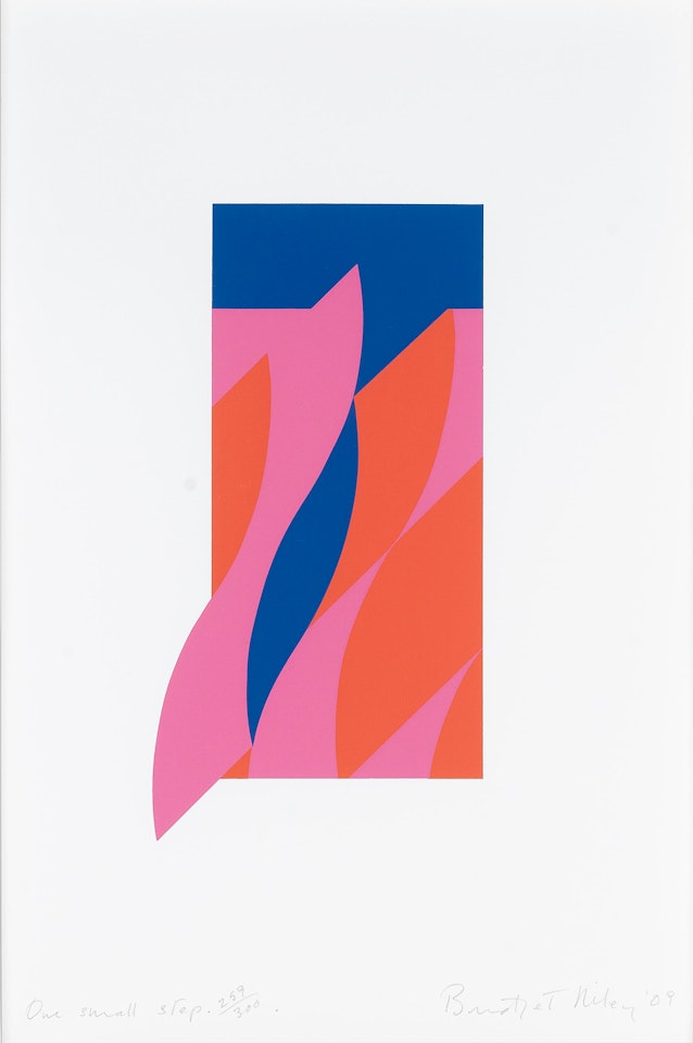 One Small Step by Bridget Riley