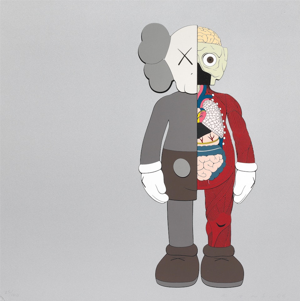 Dissected Companion (Brown) by Kaws