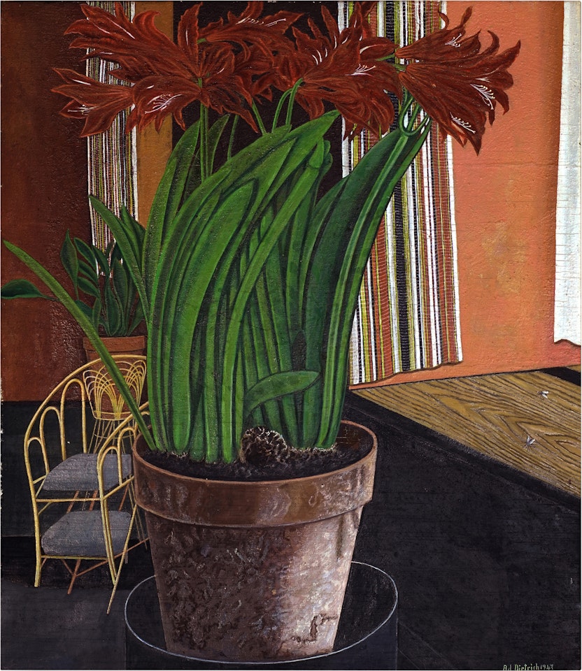 Stilleben mit Amaryllis by Adolf Dietrich