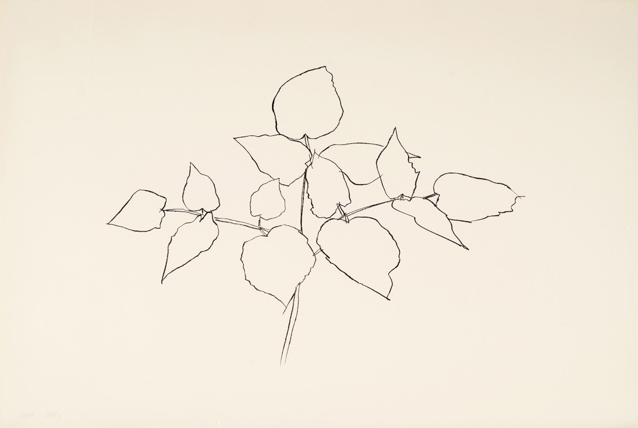 Woodland Plant by Ellsworth Kelly