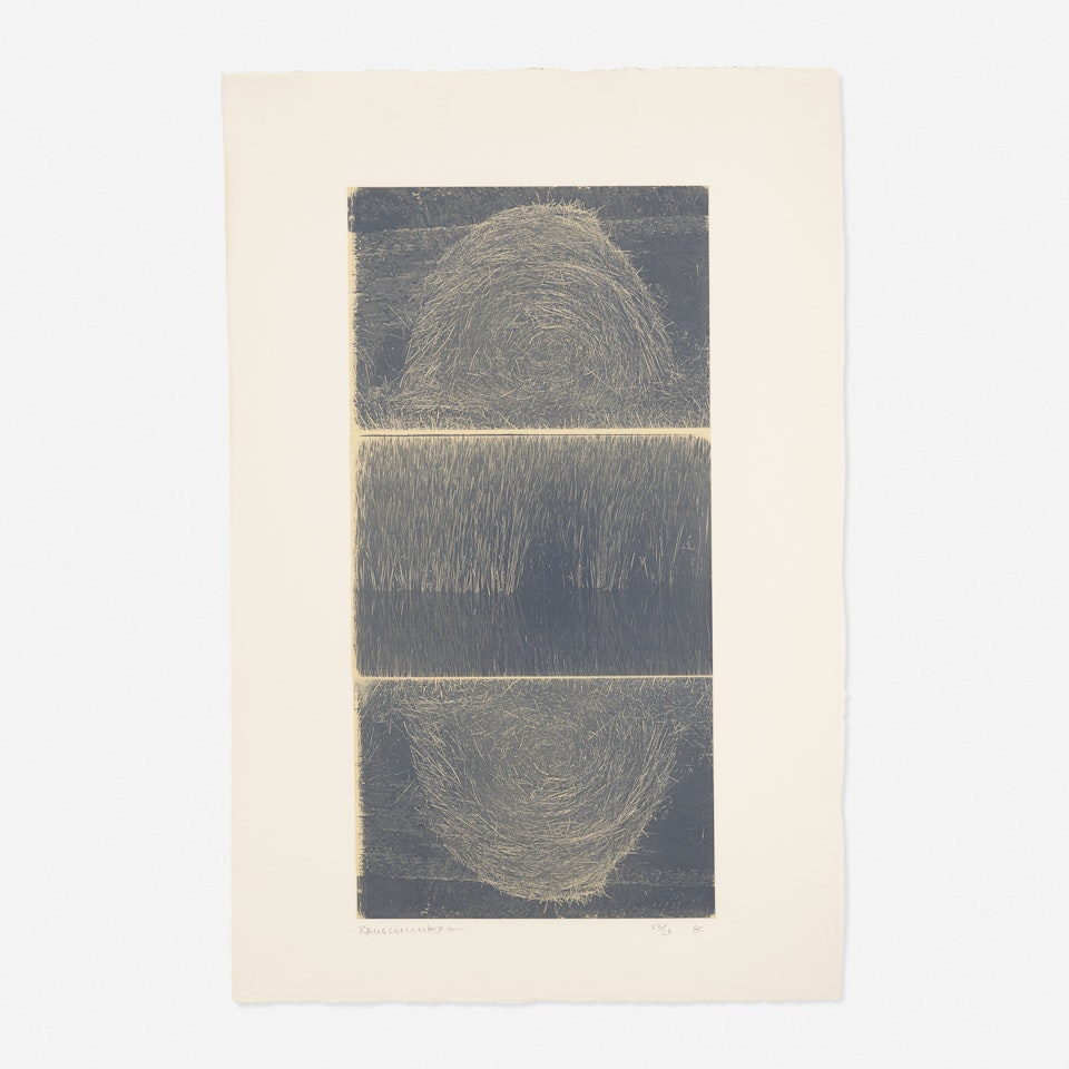 The Razorback Bunch (Etching II) by Robert Rauschenberg