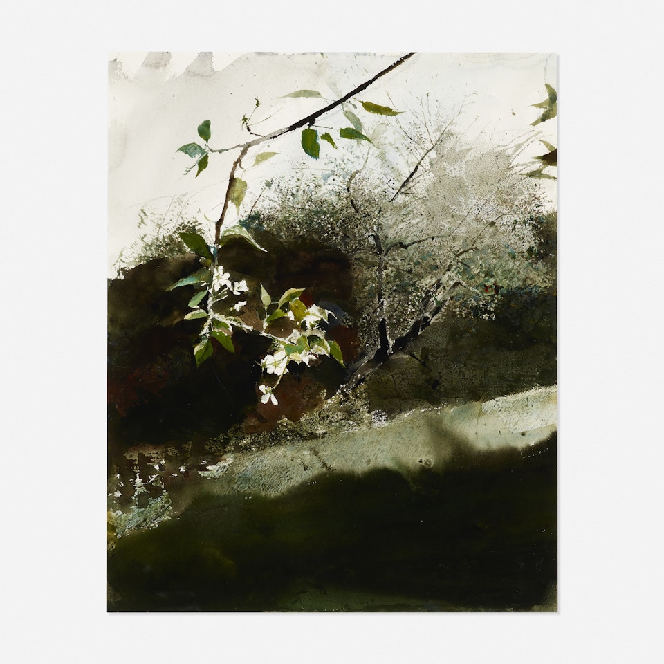 Bartlett Pear by Andrew Wyeth