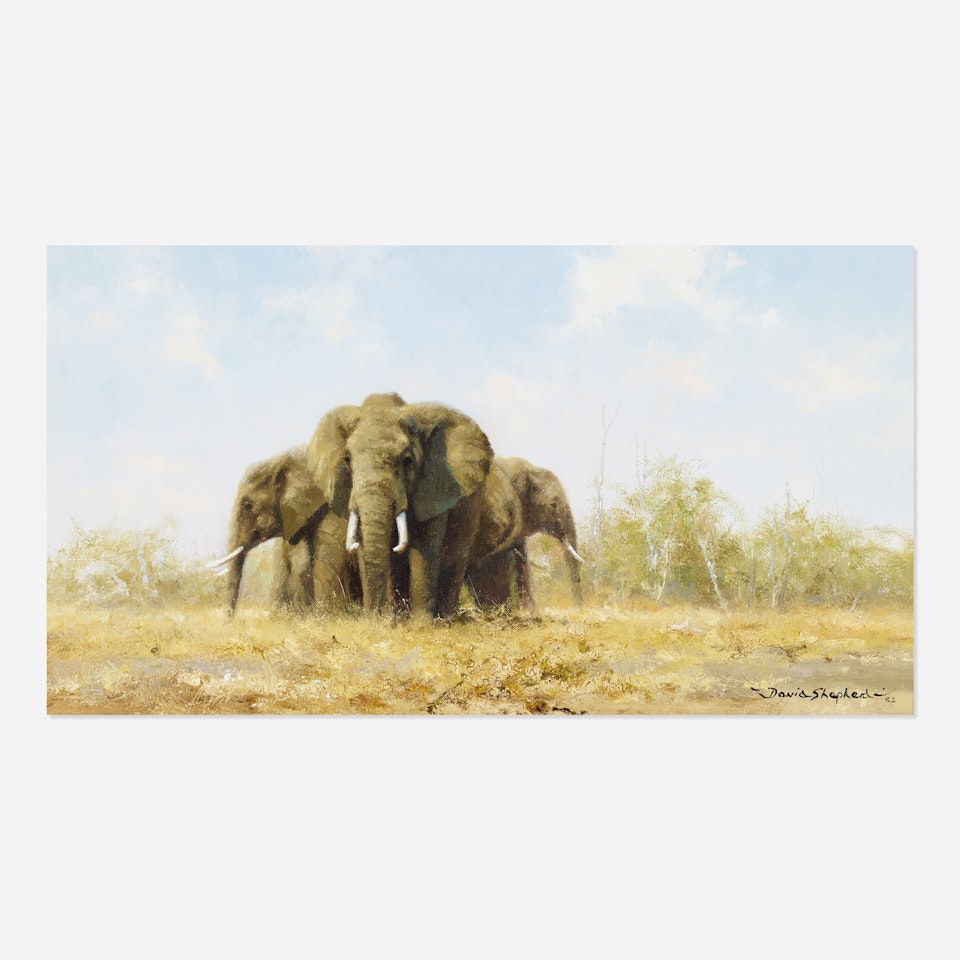 Approaching Elephants by David Shepherd