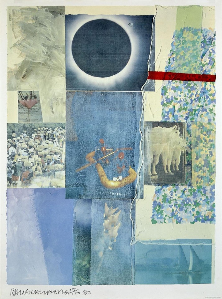 Louisiana by Robert Rauschenberg