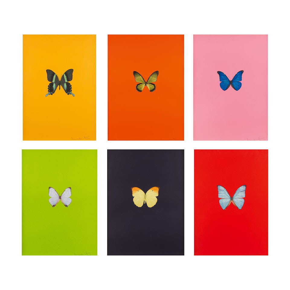 New Beginnings by Damien Hirst