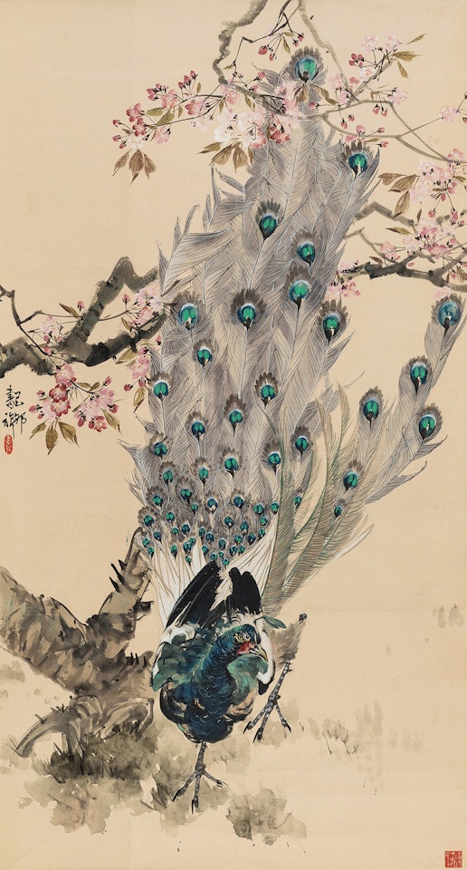 Peacock by Zhang Shuqi