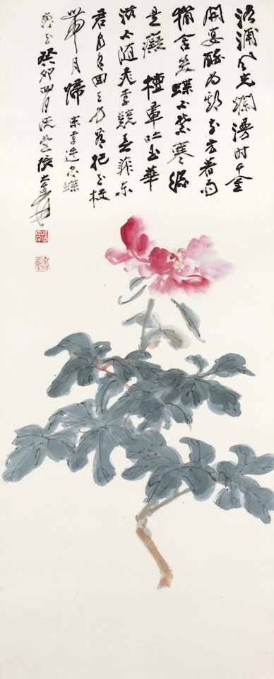 Peony by Zhang Daqian