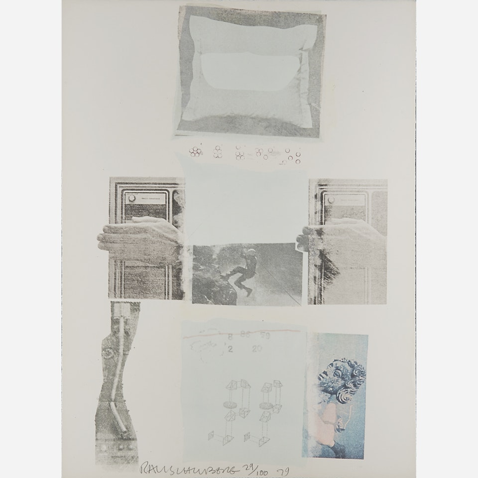Two Reasons Birds Sing by Robert Rauschenberg